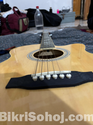 Guitar